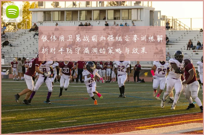 张伟丽卫冕战前加强组合拳训练解析对手防守漏洞的策略与效果