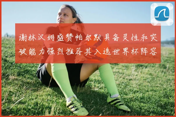 谢林汉姆盛赞帕尔默具备灵性和突破能力强烈推荐其入选世界杯阵容